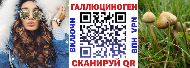 Купить  Морозовск  Галлюциногенные грибы Magic Shrooms 